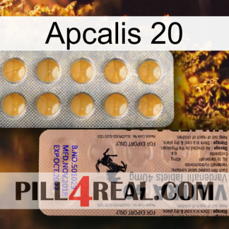 Apcalis 20 41